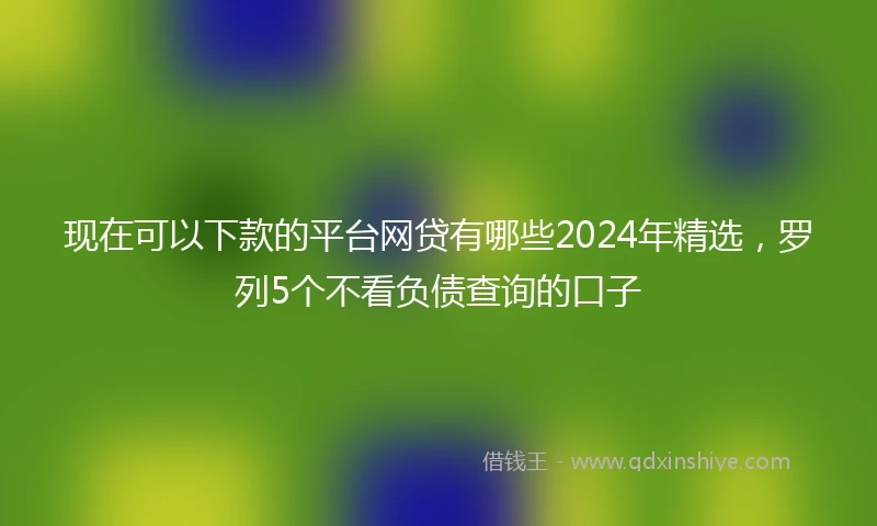 现在可以下款的平台网贷有哪些2024年精选，罗列5个不看负债查询的口子