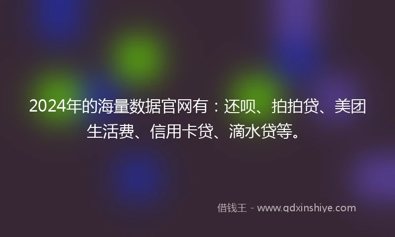 2024年的海量数据官网有：还呗、拍拍贷、美团生活费、信用卡贷、滴水贷等。