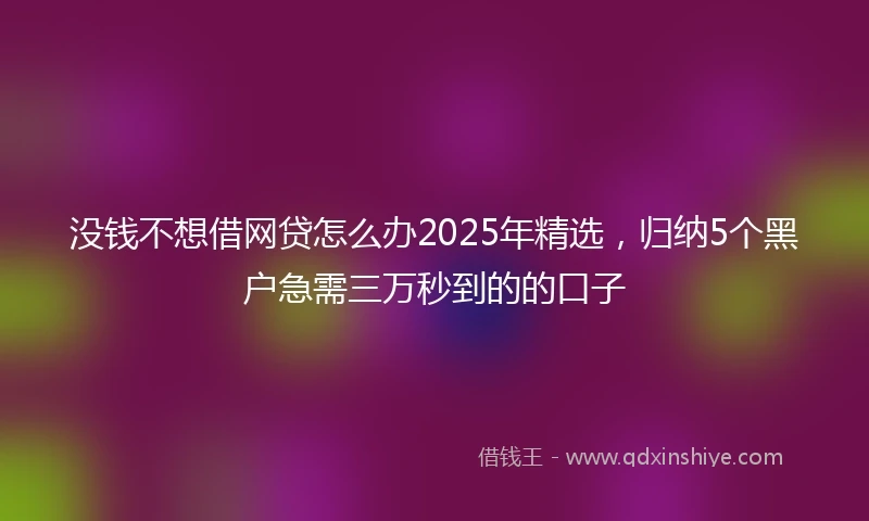 没钱不想借网贷怎么办2025年精选，归纳5个黑户急需三万秒到的的口子