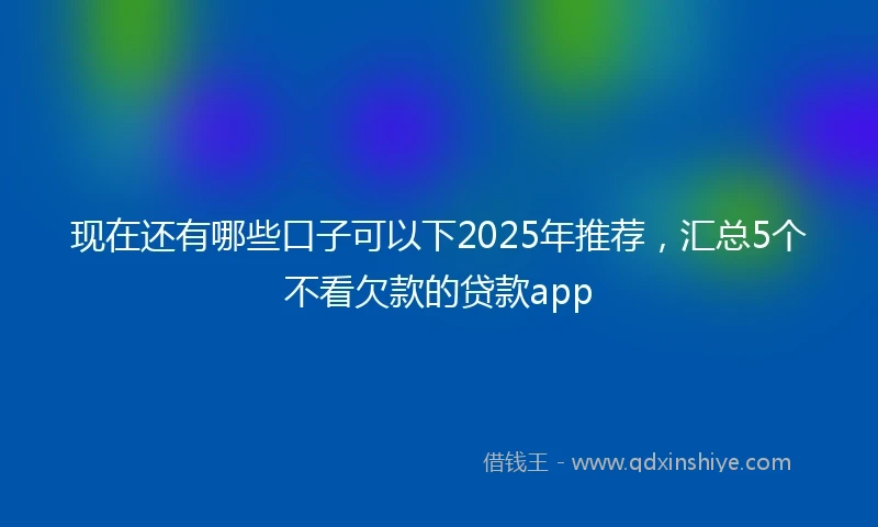 现在还有哪些口子可以下2025年推荐，汇总5个不看欠款的贷款app