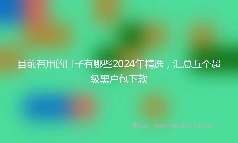目前有用的口子有哪些2024年精选，汇总五个超级黑户包下款