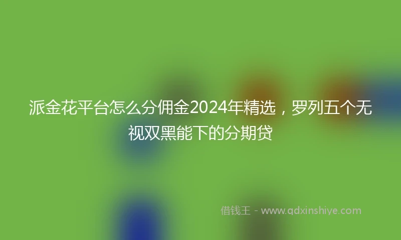 派金花平台怎么分佣金2024年精选，罗列五个无视双黑能下的分期贷