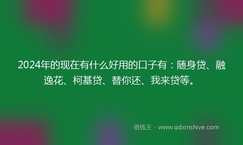 2024年的现在有什么好用的口子有：随身贷、融逸花、柯基贷、替你还、我来贷等。