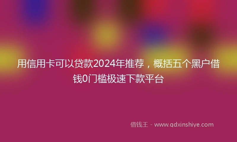 用信用卡可以贷款2024年推荐，概括五个黑户借钱0门槛极速下款平台