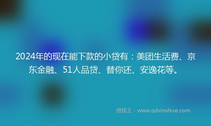 2024年的现在能下款的小贷有：美团生活费、京东金融、51人品贷、替你还、安逸花等。