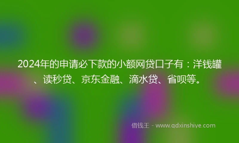 2024年的申请必下款的小额网贷口子有：洋钱罐、读秒贷、京东金融、滴水贷、省呗等。