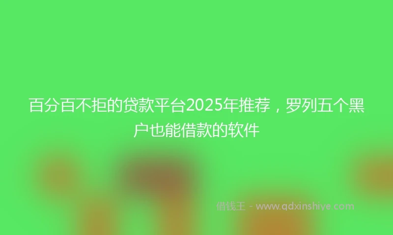 百分百不拒的贷款平台2025年推荐，罗列五个黑户也能借款的软件