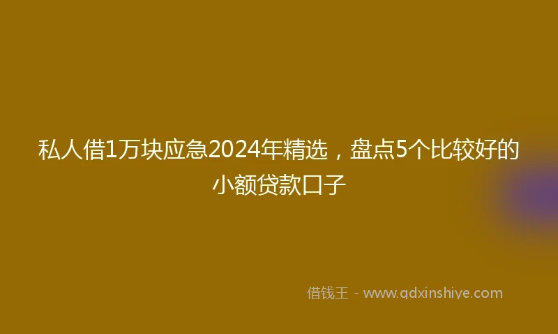 私人借1万块应急2024年精选，盘点5个比较好的小额贷款口子