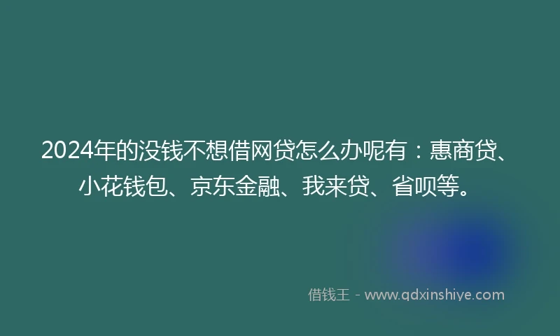 2024年的没钱不想借网贷怎么办呢有：惠商贷、小花钱包、京东金融、我来贷、省呗等。