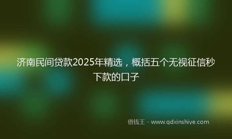 济南民间贷款2025年精选，概括五个无视征信秒下款的口子