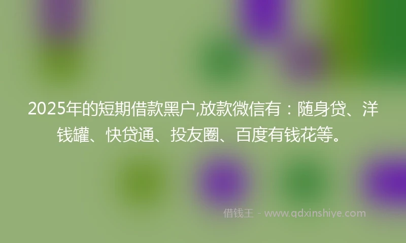 2025年的短期借款黑户,放款微信有：随身贷、洋钱罐、快贷通、投友圈、百度有钱花等。