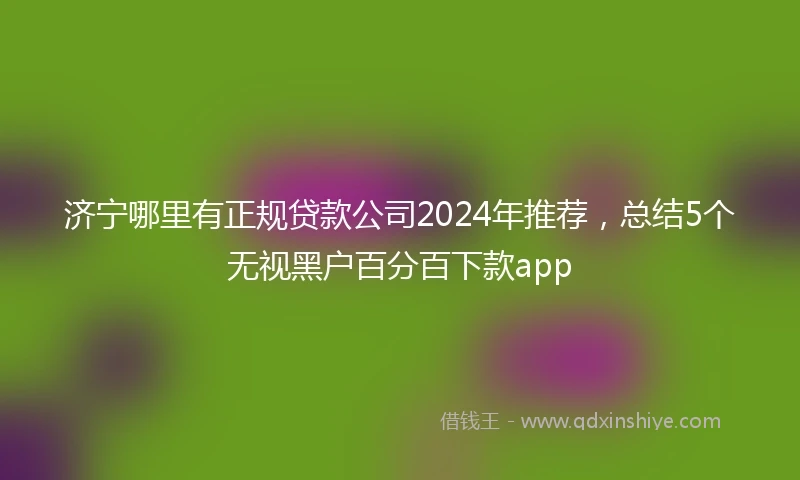 济宁哪里有正规贷款公司2024年推荐，总结5个无视黑户百分百下款app