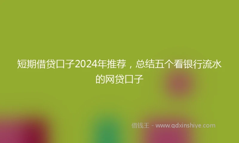 短期借贷口子2024年推荐，总结五个看银行流水的网贷口子