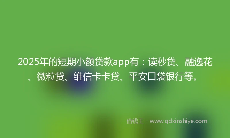 2025年的短期小额贷款app有：读秒贷、融逸花、微粒贷、维信卡卡贷、平安口袋银行等。