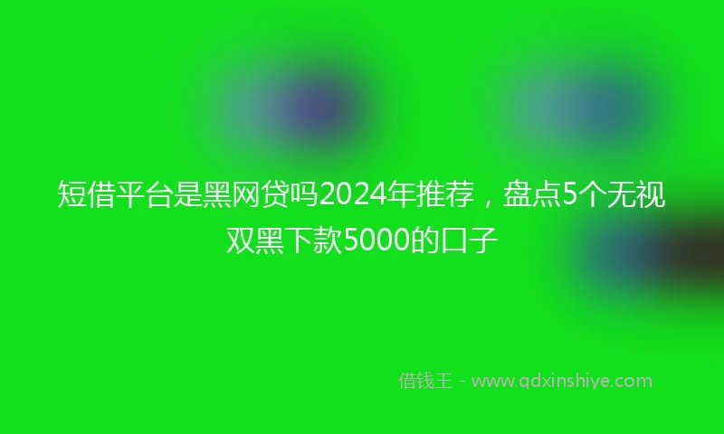 短借平台是黑网贷吗2024年推荐，盘点5个无视双黑下款5000的口子