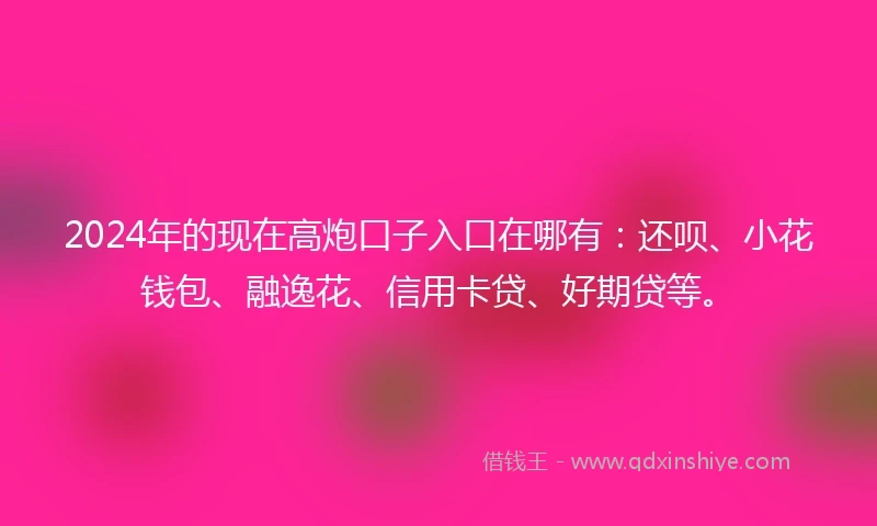 2024年的现在高炮口子入口在哪有：还呗、小花钱包、融逸花、信用卡贷、好期贷等。