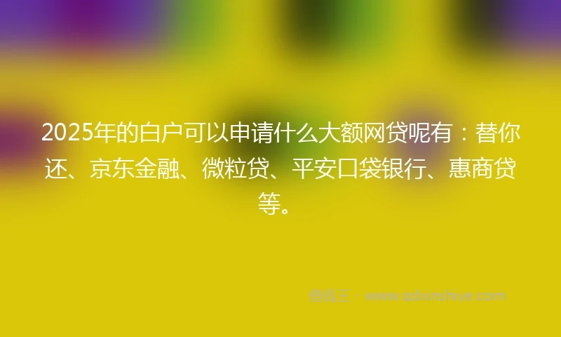 2025年的白户可以申请什么大额网贷呢有：替你还、京东金融、微粒贷、平安口袋银行、惠商贷等。