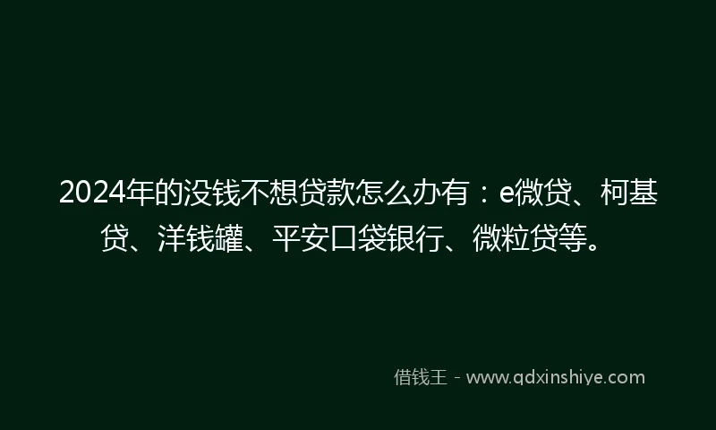 2024年的没钱不想贷款怎么办有：e微贷、柯基贷、洋钱罐、平安口袋银行、微粒贷等。