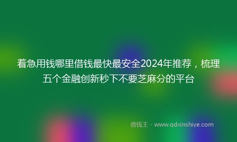着急用钱哪里借钱最快最安全2024年推荐，梳理五个金融创新秒下不要芝麻分的平台