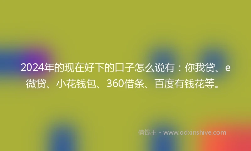 2024年的现在好下的口子怎么说有：你我贷、e微贷、小花钱包、360借条、百度有钱花等。