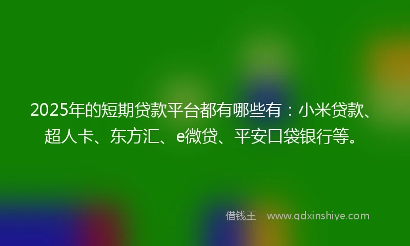 2025年的短期贷款平台都有哪些有：小米贷款、超人卡、东方汇、e微贷、平安口袋银行等。