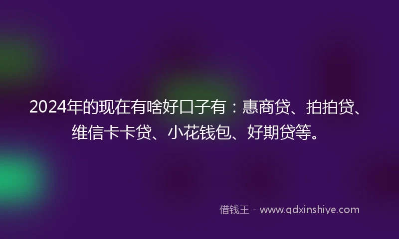2024年的现在有啥好口子有：惠商贷、拍拍贷、维信卡卡贷、小花钱包、好期贷等。