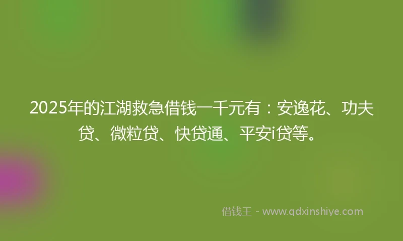 2025年的江湖救急借钱一千元有：安逸花、功夫贷、微粒贷、快贷通、平安i贷等。