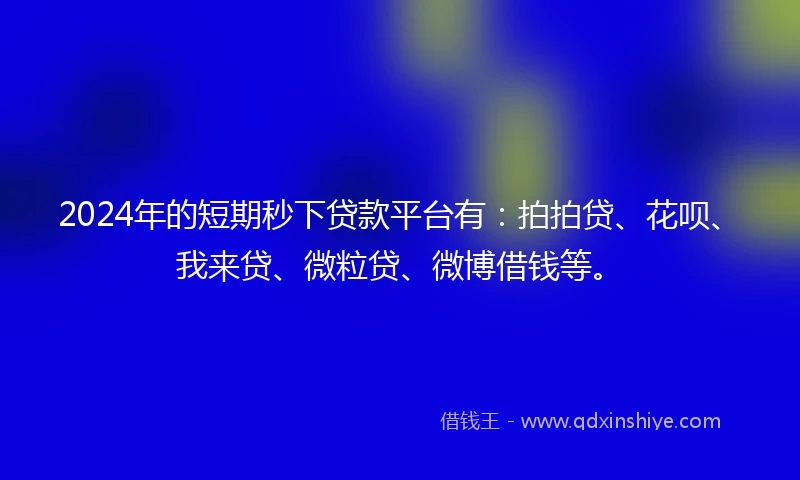 2024年的短期秒下贷款平台有：拍拍贷、花呗、我来贷、微粒贷、微博借钱等。