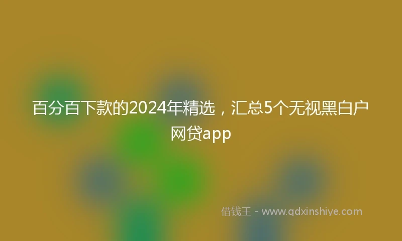 百分百下款的2024年精选，汇总5个无视黑白户网贷app