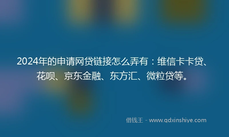 2024年的申请网贷链接怎么弄有：维信卡卡贷、花呗、京东金融、东方汇、微粒贷等。