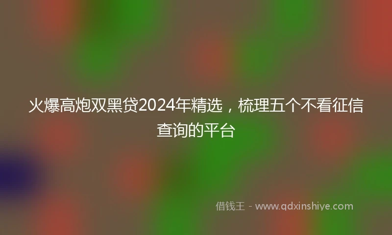 火爆高炮双黑贷2024年精选，梳理五个不看征信查询的平台