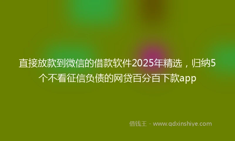 直接放款到微信的借款软件2025年精选，归纳5个不看征信负债的网贷百分百下款app