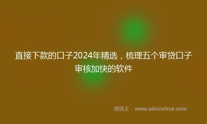 直接下款的口子2024年精选，梳理五个审贷口子审核加快的软件