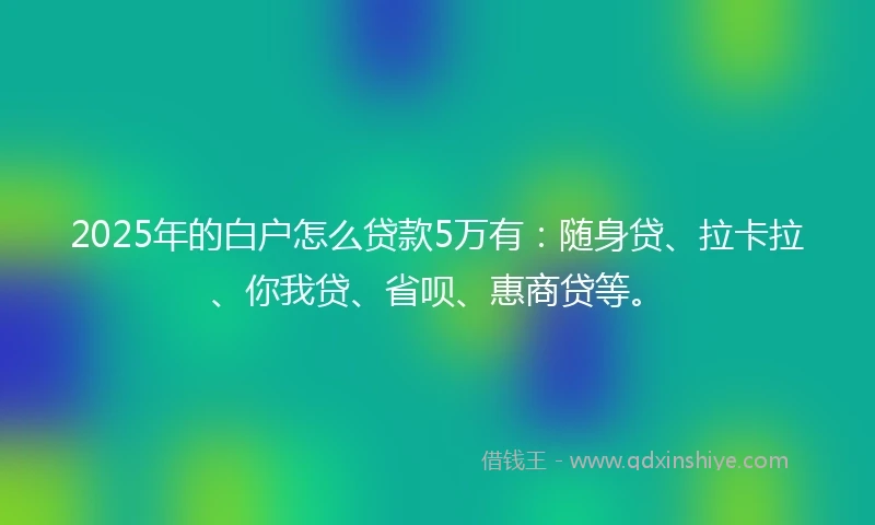 2025年的白户怎么贷款5万有：随身贷、拉卡拉、你我贷、省呗、惠商贷等。