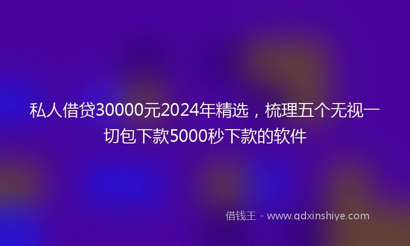私人借贷30000元2024年精选，梳理五个无视一切包下款5000秒下款的软件