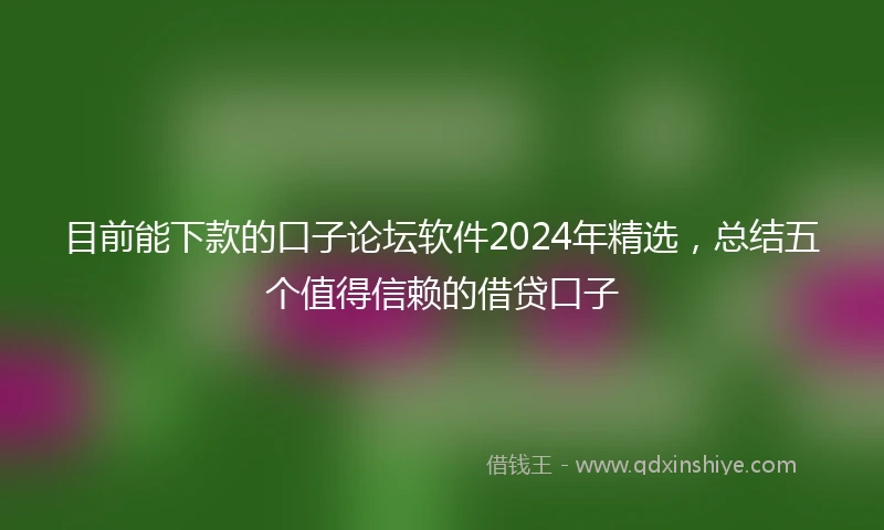 目前能下款的口子论坛软件2024年精选，总结五个值得信赖的借贷口子