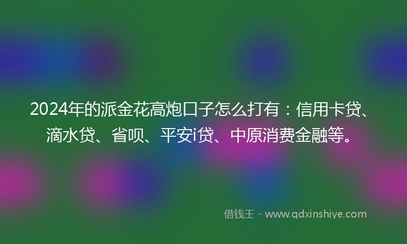 2024年的派金花高炮口子怎么打有：信用卡贷、滴水贷、省呗、平安i贷、中原消费金融等。
