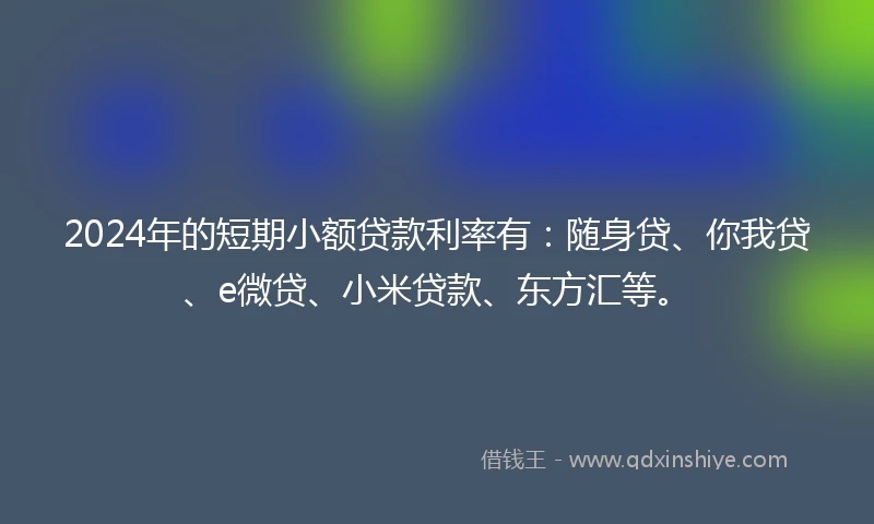 2024年的短期小额贷款利率有：随身贷、你我贷、e微贷、小米贷款、东方汇等。