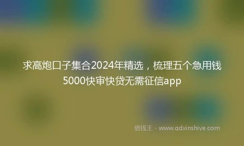 求高炮口子集合2024年精选，梳理五个急用钱5000快审快贷无需征信app