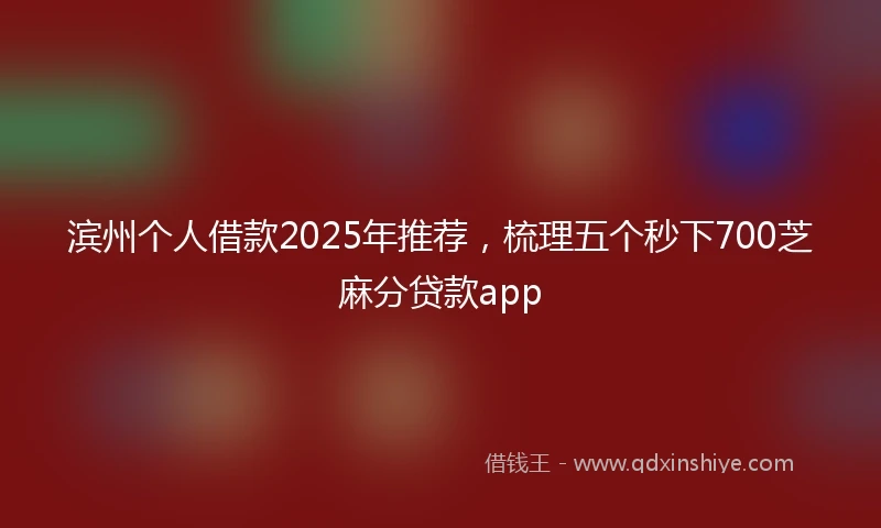 滨州个人借款2025年推荐，梳理五个秒下700芝麻分贷款app