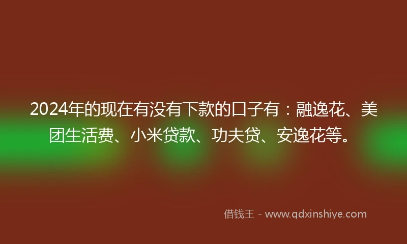 2024年的现在有没有下款的口子有：融逸花、美团生活费、小米贷款、功夫贷、安逸花等。