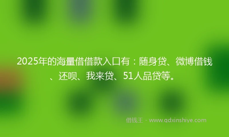 2025年的海量借借款入口有：随身贷、微博借钱、还呗、我来贷、51人品贷等。
