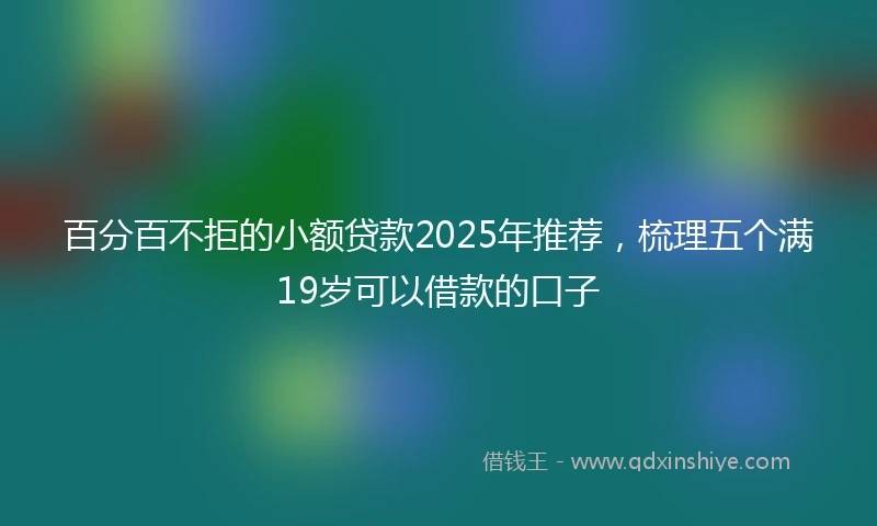 百分百不拒的小额贷款2025年推荐，梳理五个满19岁可以借款的口子