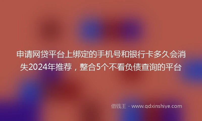 申请网贷平台上绑定的手机号和银行卡多久会消失2024年推荐，整合5个不看负债查询的平台