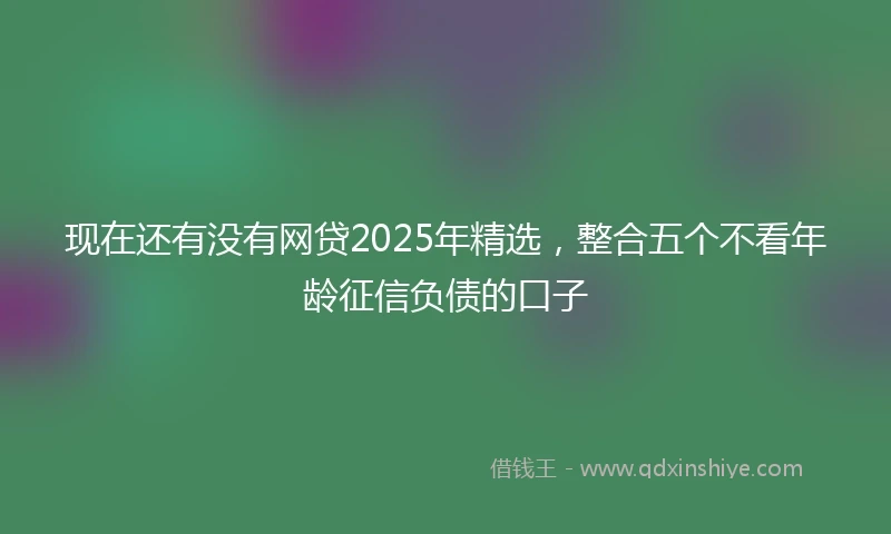 现在还有没有网贷2025年精选，整合五个不看年龄征信负债的口子