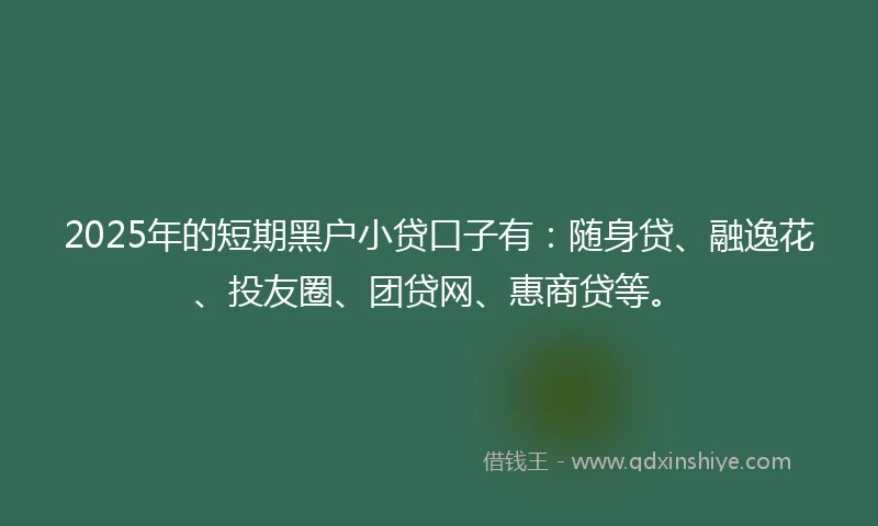 2025年的短期黑户小贷口子有：随身贷、融逸花、投友圈、团贷网、惠商贷等。