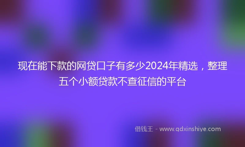 现在能下款的网贷口子有多少2024年精选，整理五个小额贷款不查征信的平台