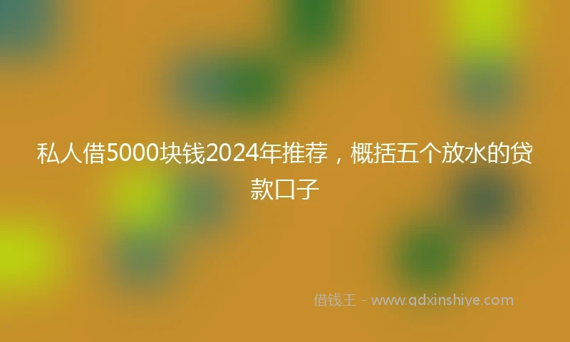 私人借5000块钱2024年推荐，概括五个放水的贷款口子
