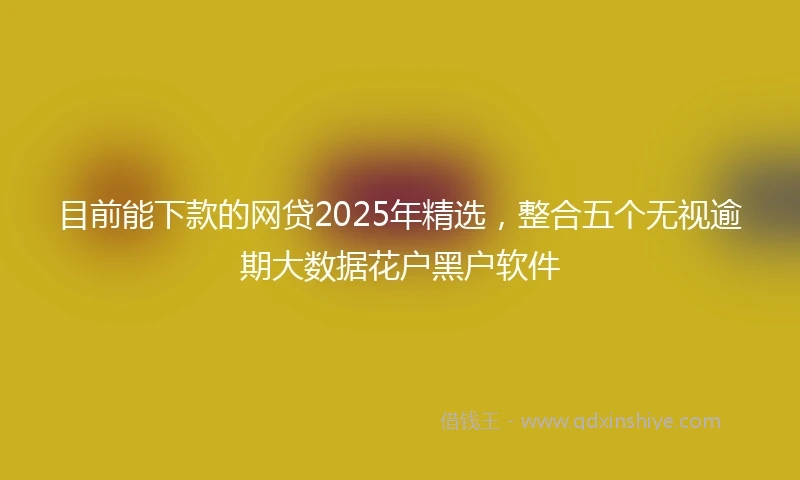 目前能下款的网贷2025年精选，整合五个无视逾期大数据花户黑户软件