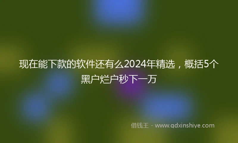 现在能下款的软件还有么2024年精选，概括5个黑户烂户秒下一万